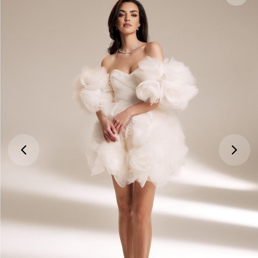 Ana Radu Organza Flower Corset Mini Dress
